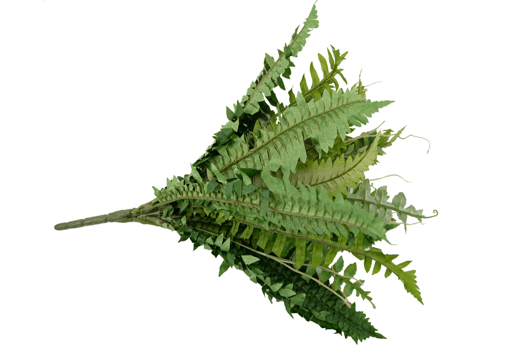 19" Artificial Boston Fern Bush