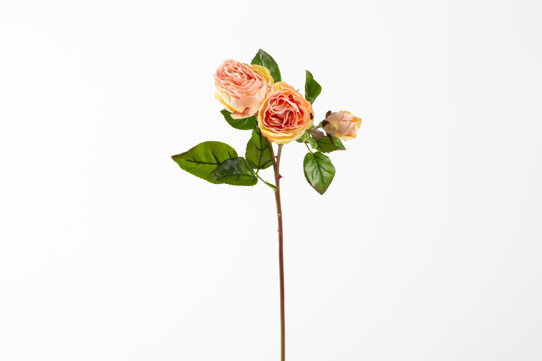 21" Coral Yellow Cabbage Rose Spray