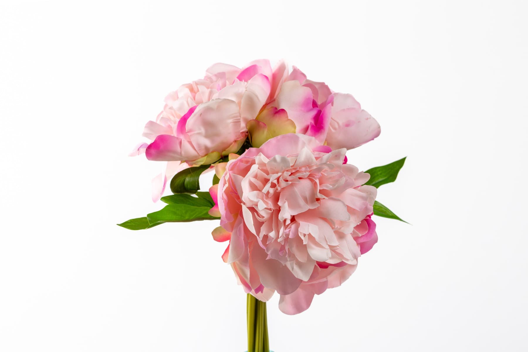 10" Light Pink Peony Bundle (5)