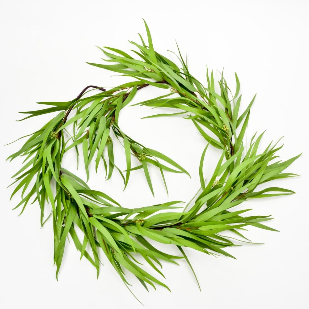 Eucalyptus Garland - Feather Leaf Eucalyptus