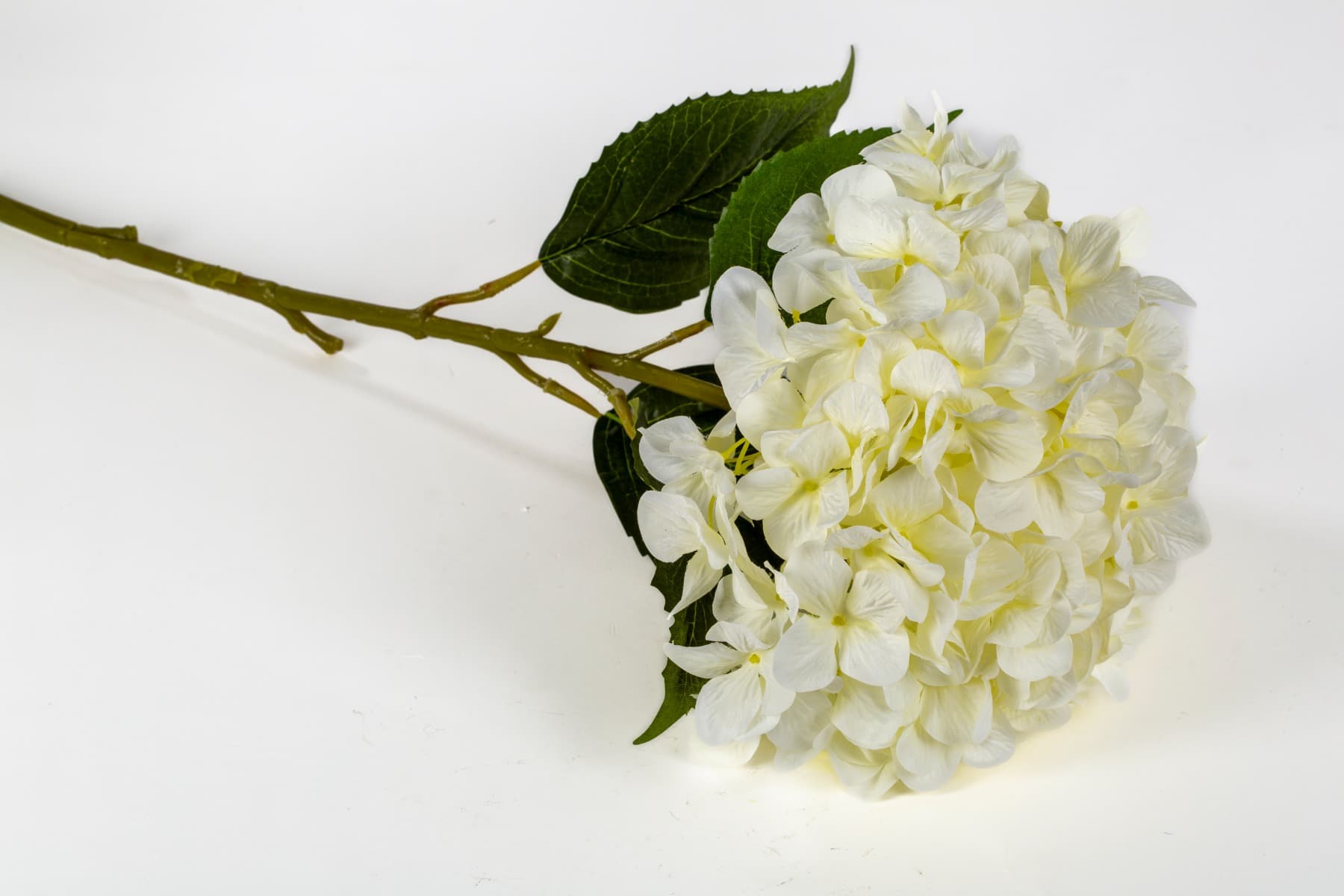 42" Jumbo Cream Hydrangea