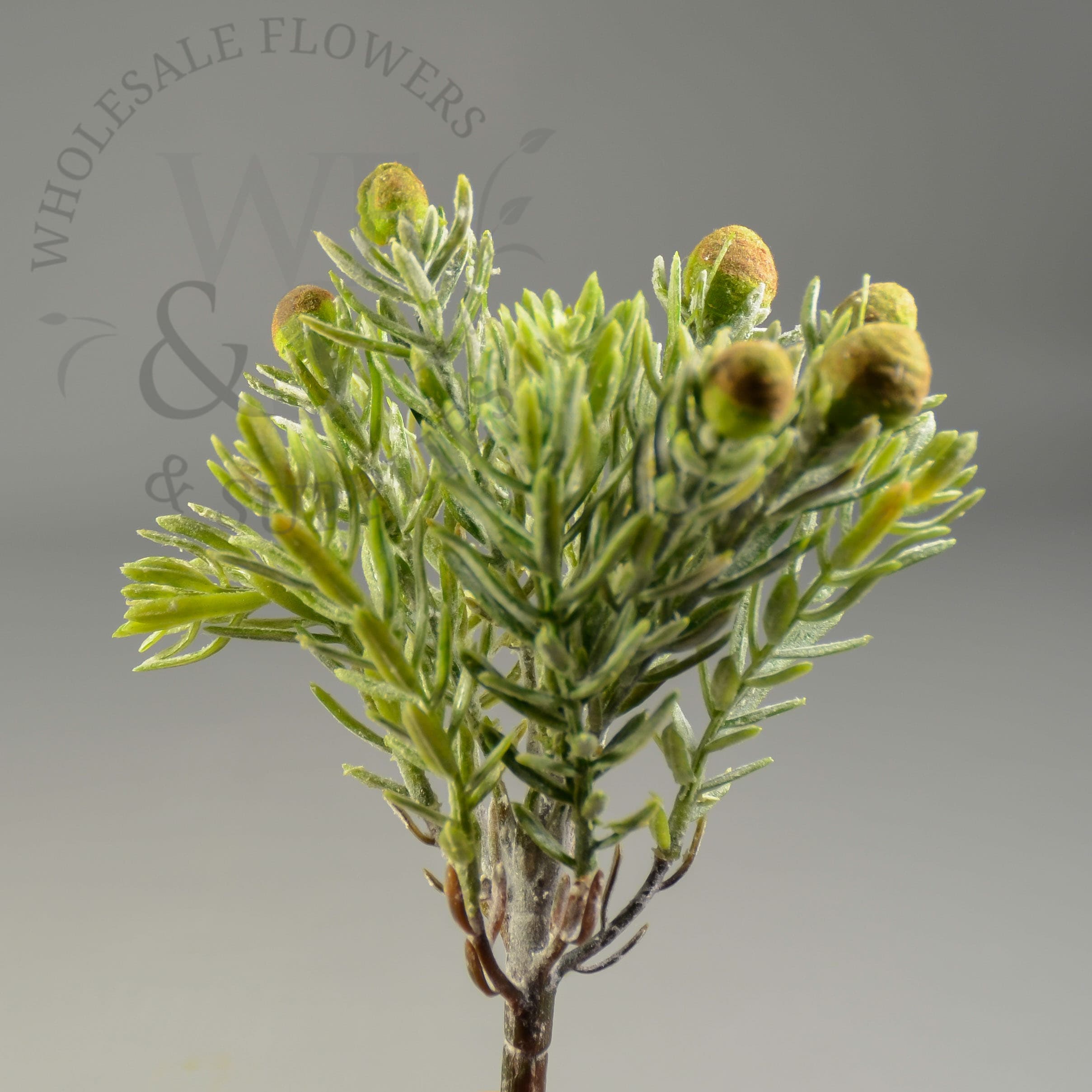 7" Pine Succulent Pick Green