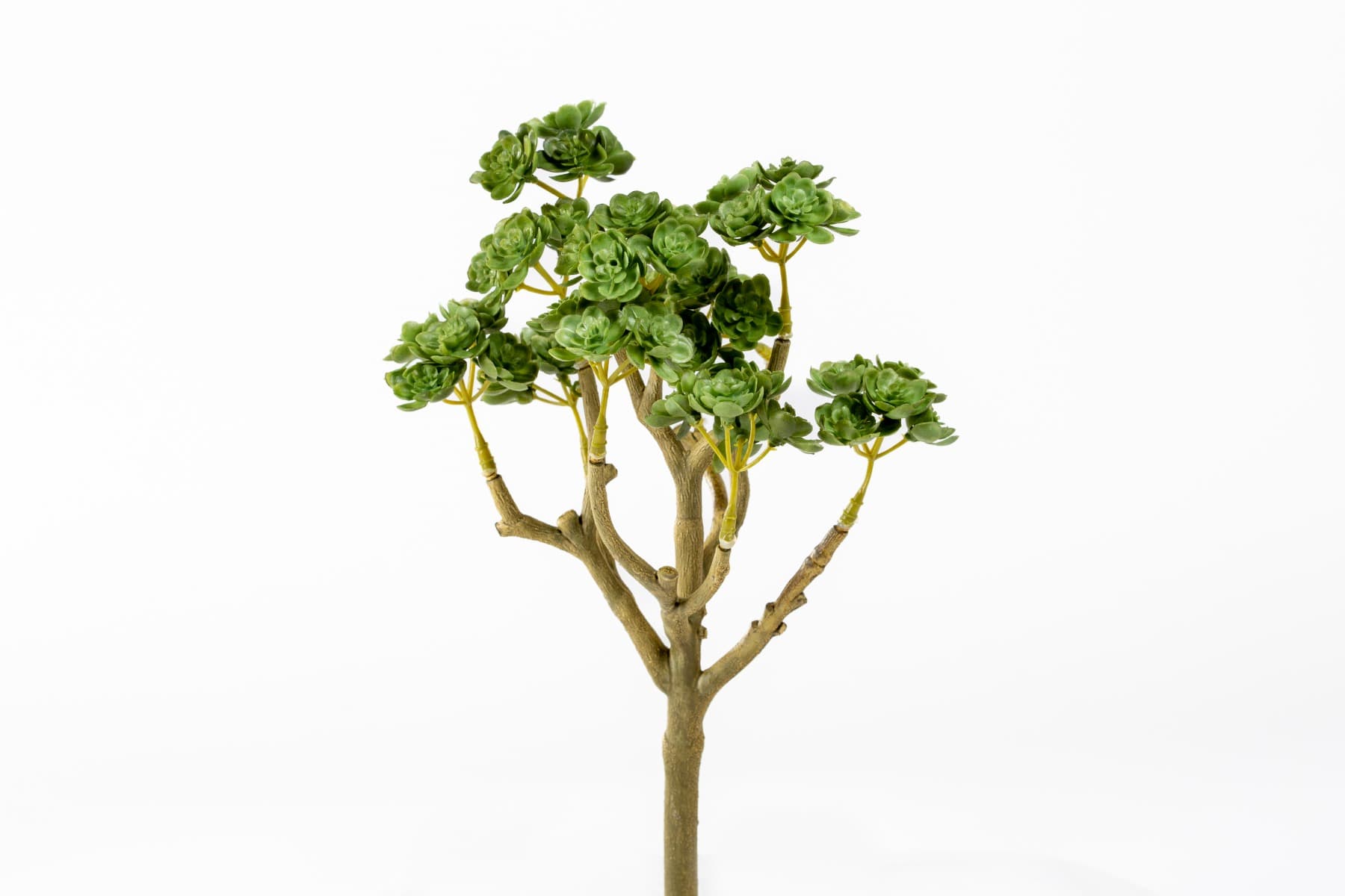 10" Soft Touch Sedum Bush