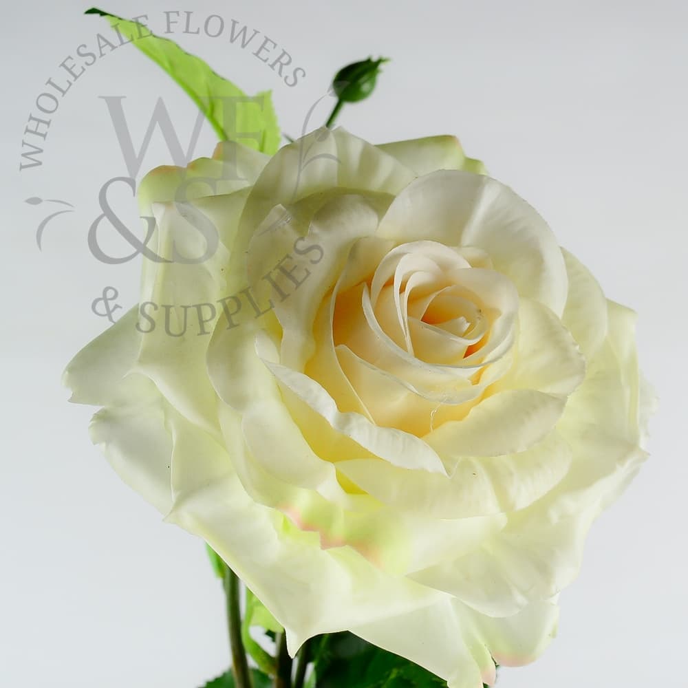 25" Cream Rose Single Spray