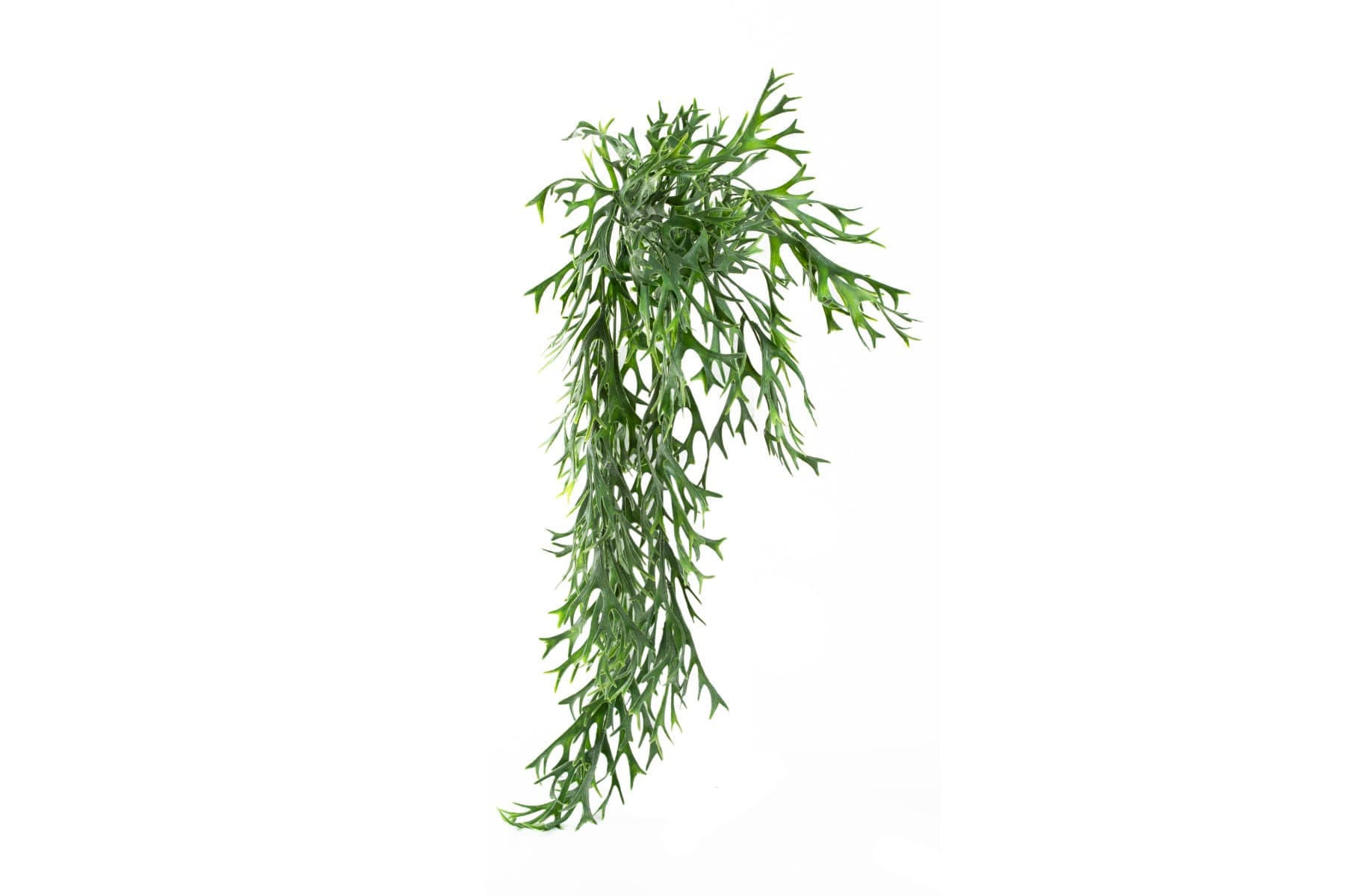 30" Faux Baby Reindeer Grass Stem