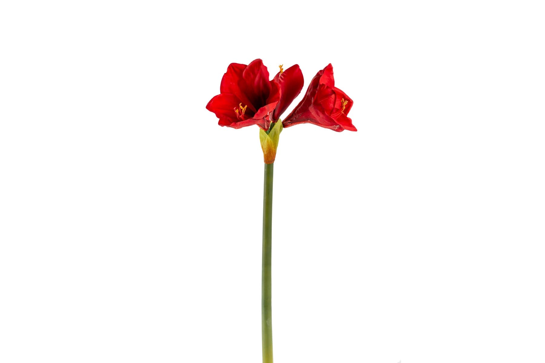 26" Amaryllis Spray Red