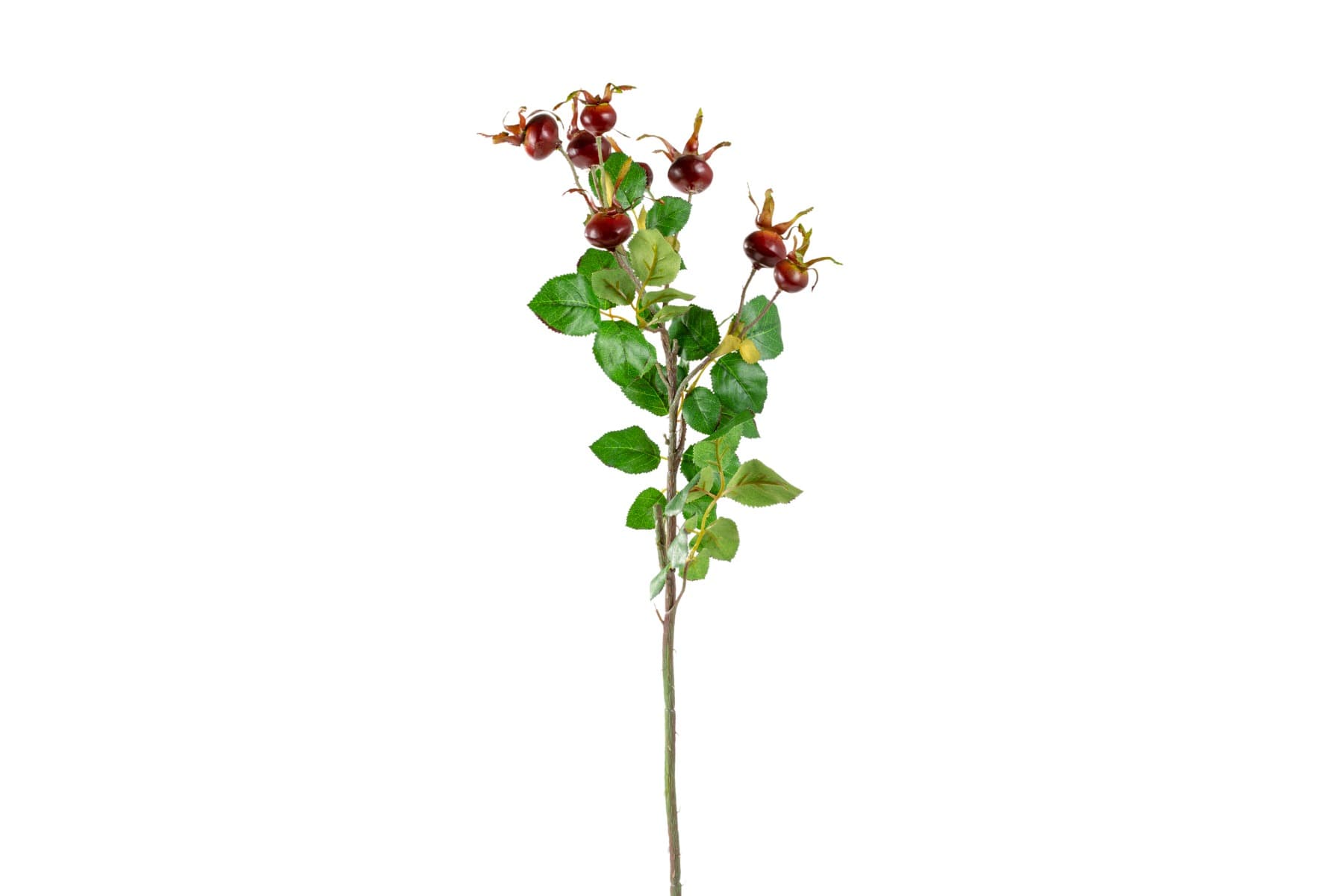 23" Burgundy Rose Hip Spray