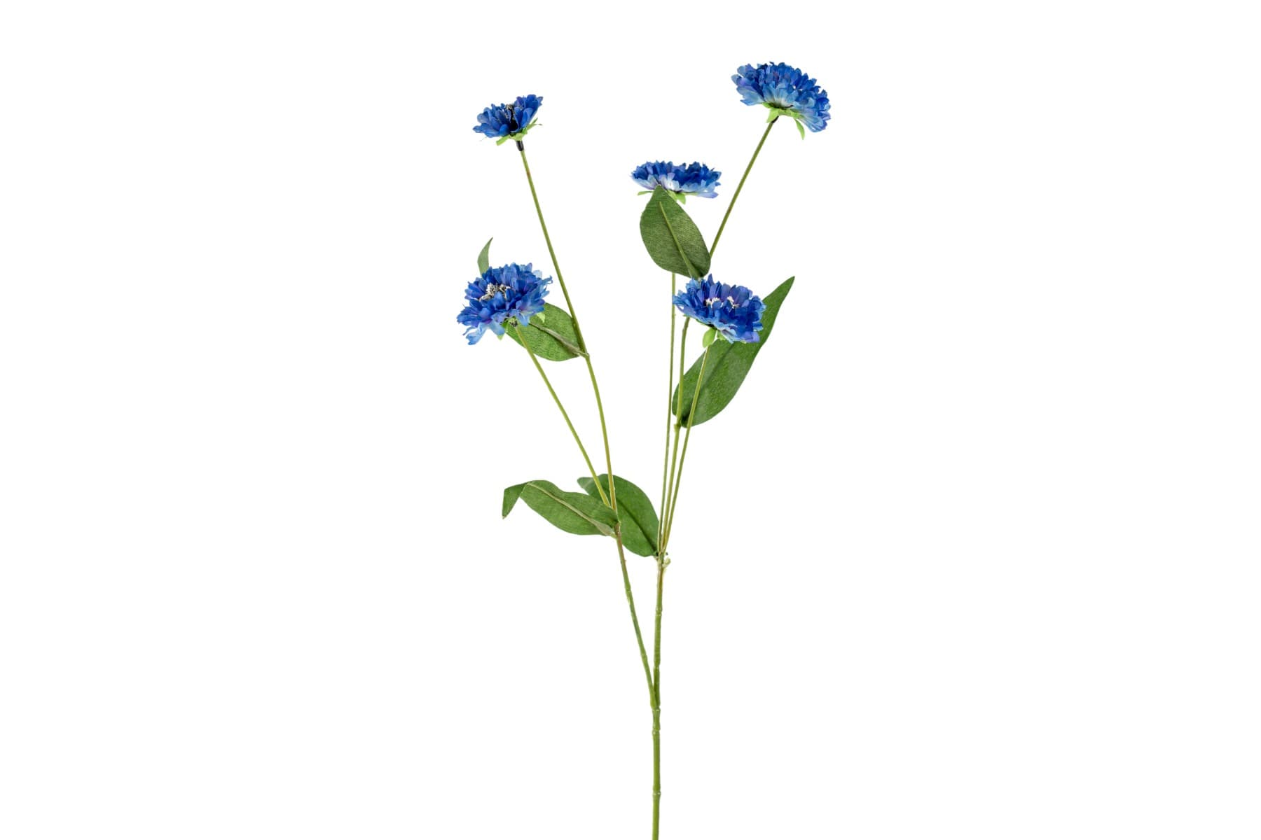 26" Delphinium blue Cornflower spray