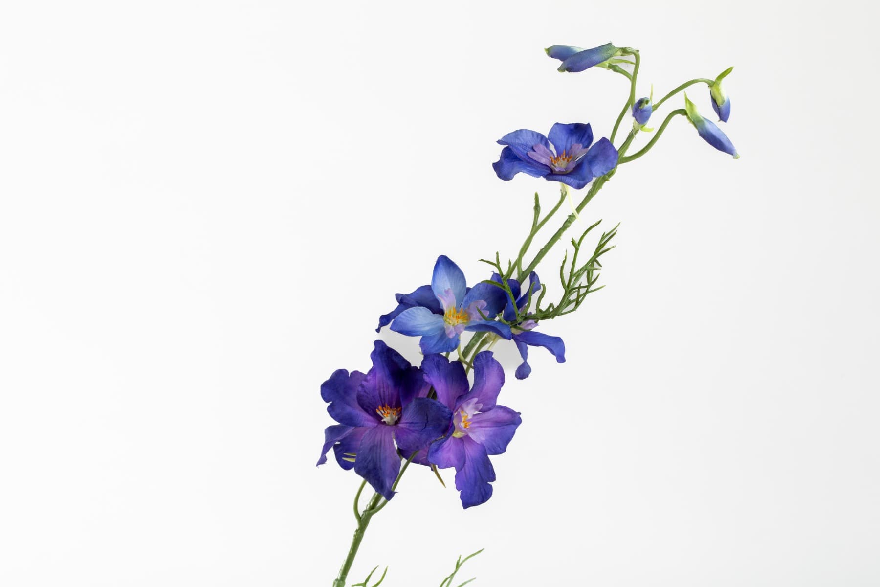 25" Violet Blue Delphinium Spray