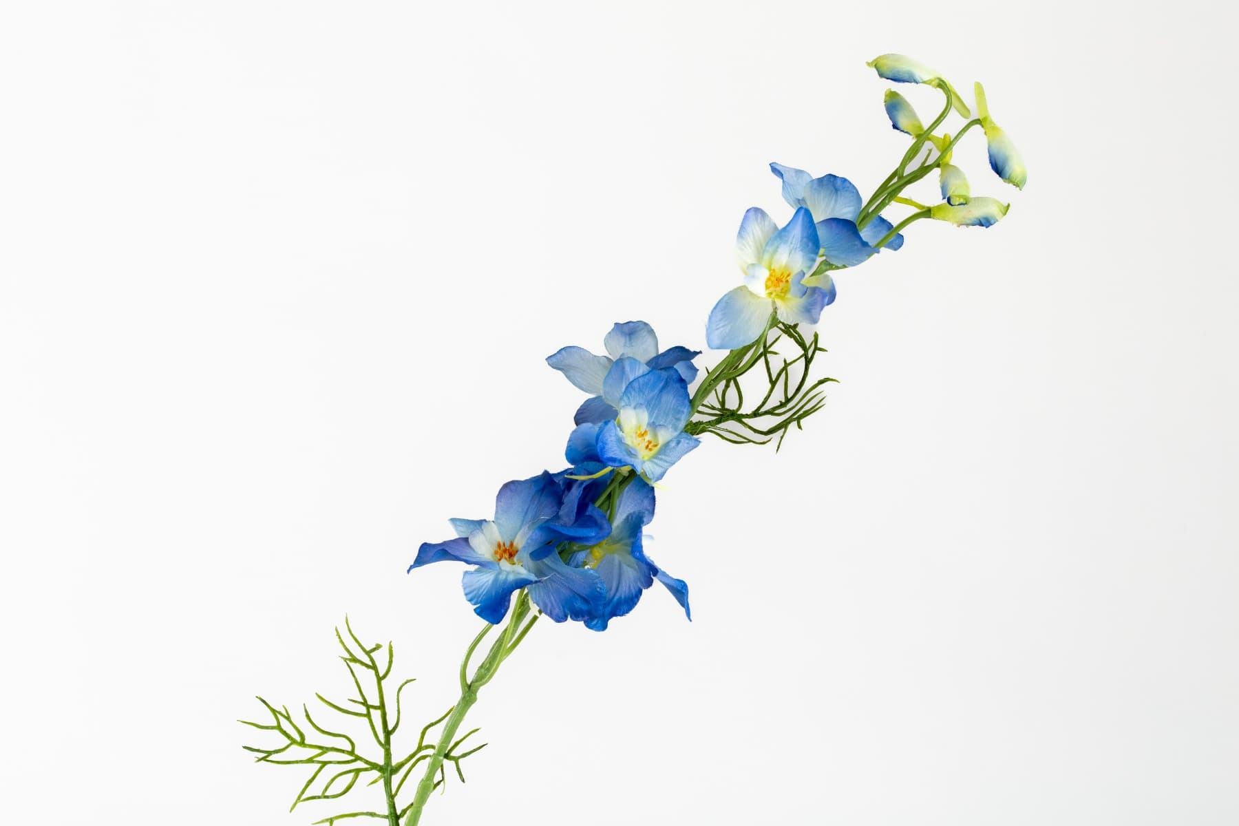 25" Blue Delphinium Spray