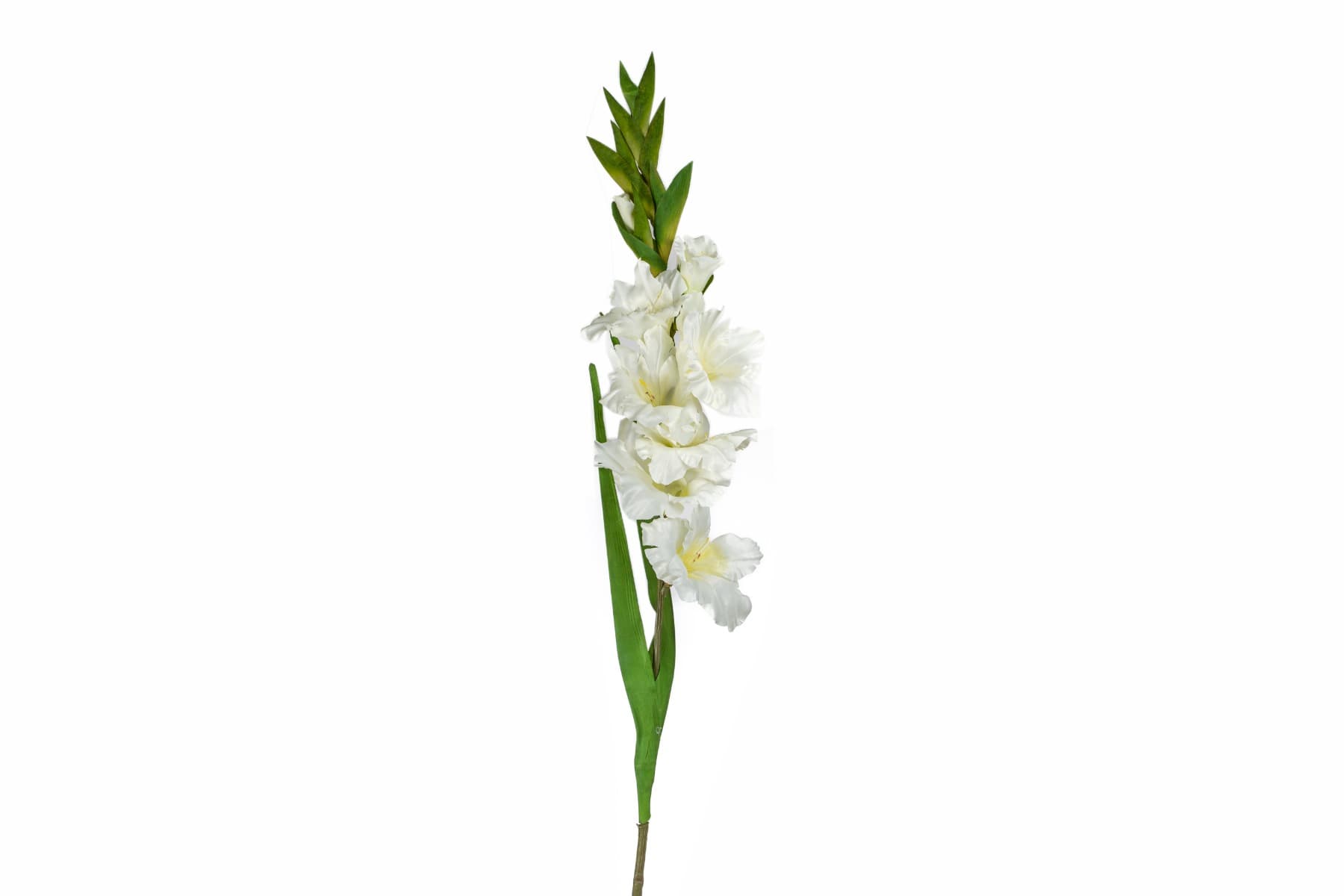 36.6" White Gladiolus Spray