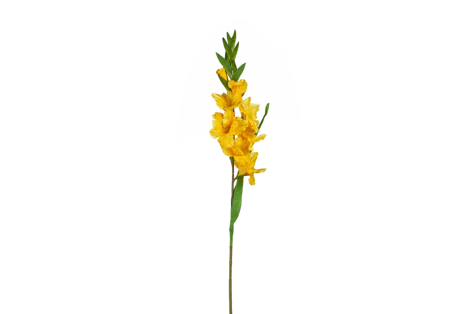 36" Yellow Gladiolus Spray
