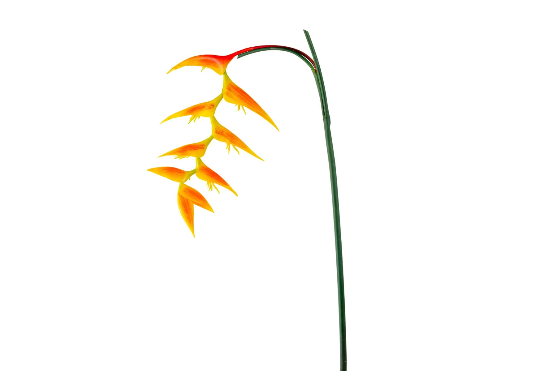 48" Orange & Yellow Heliconia Hanging Spray