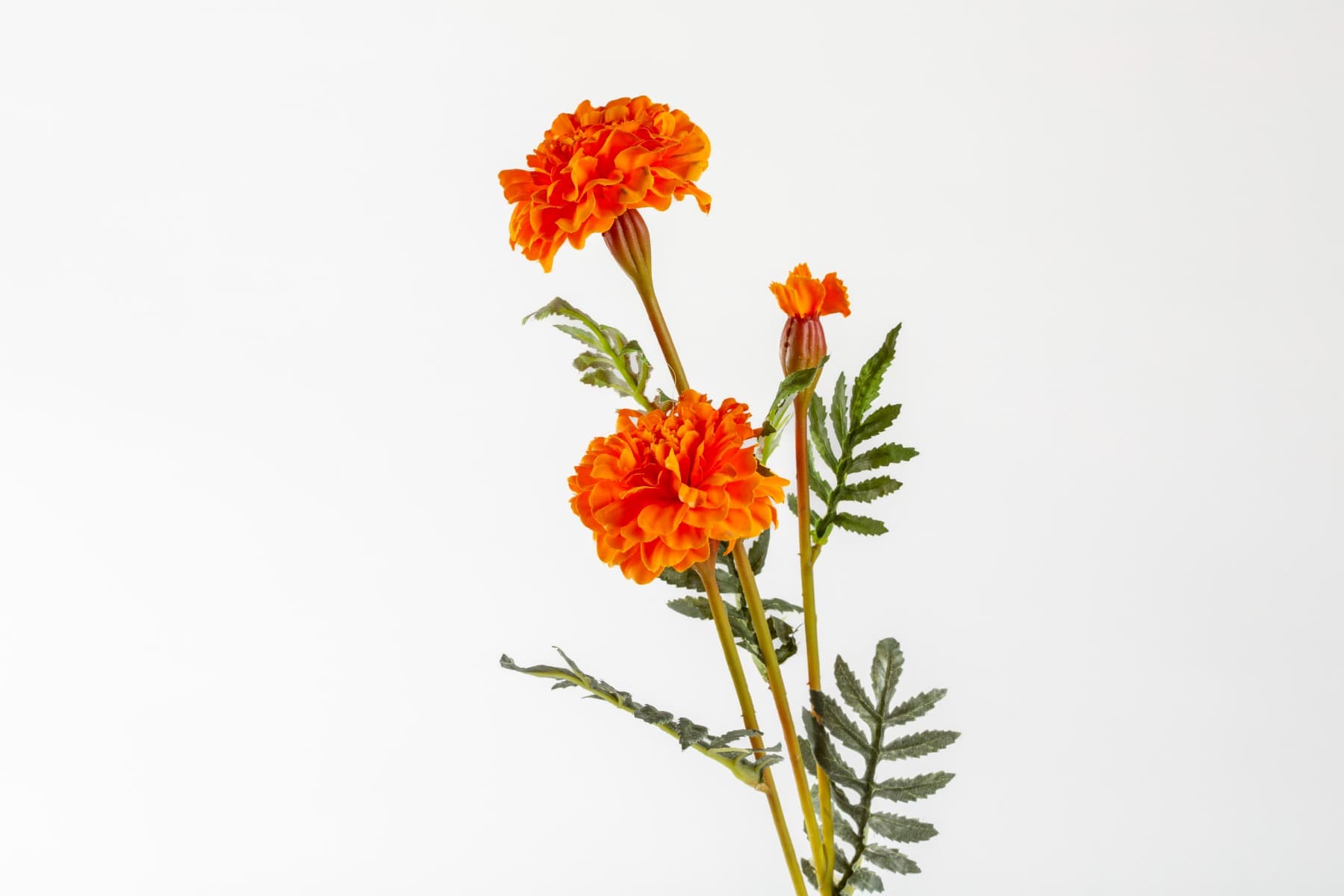 34.5" Marigold Spray