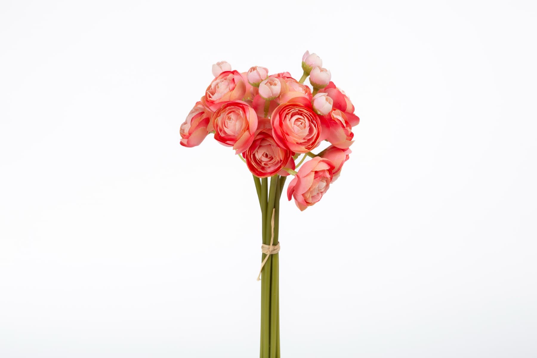 10" Coral Pink Mini Ranunculus Bundle x6