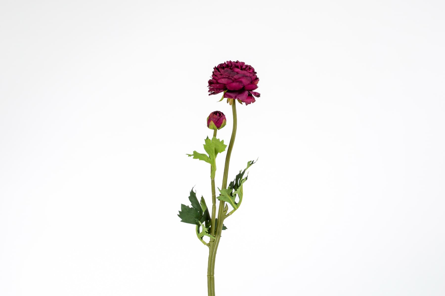 18.9" Wine Ranunculus Spray
