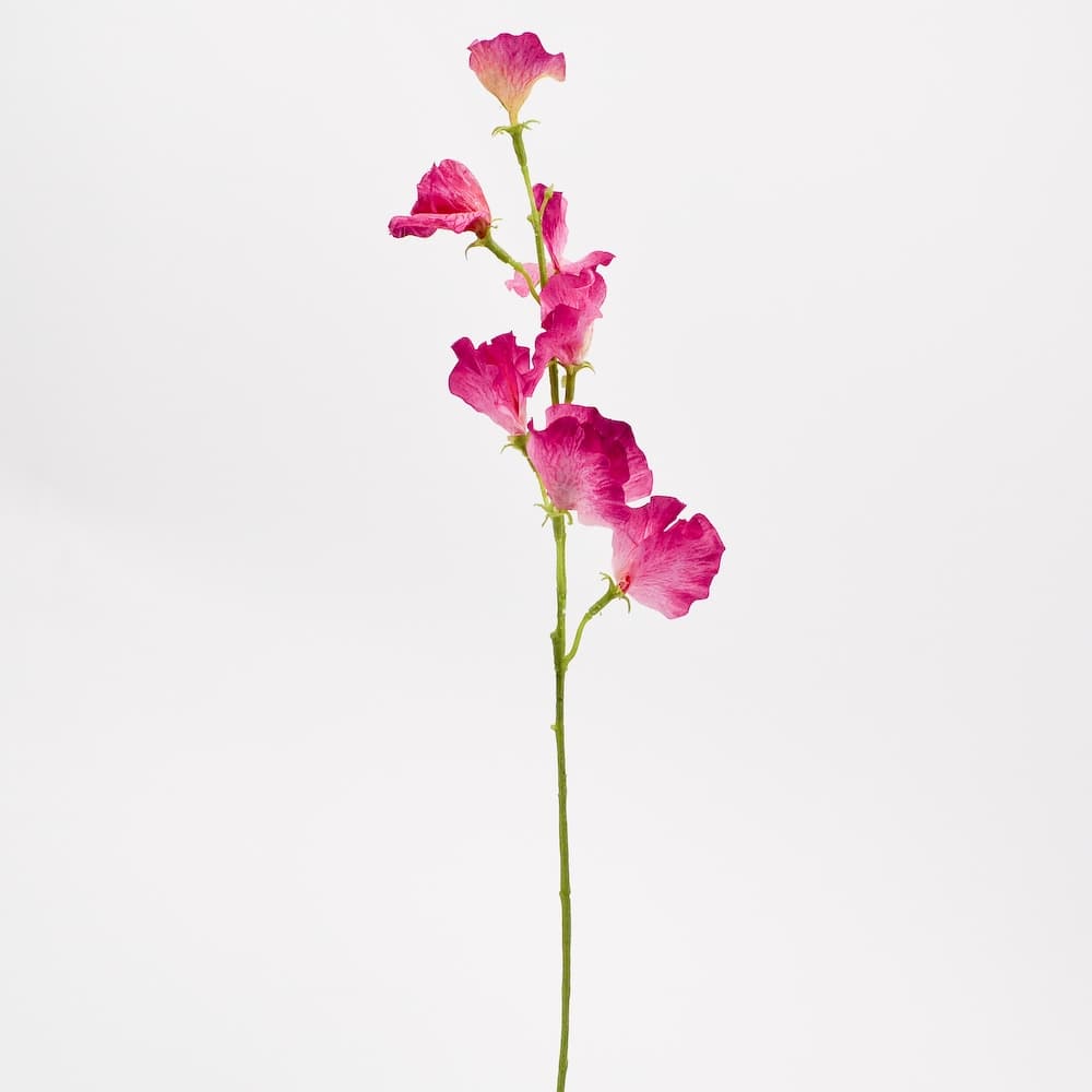 Silk Sweet Pea Spray - Fuchsia