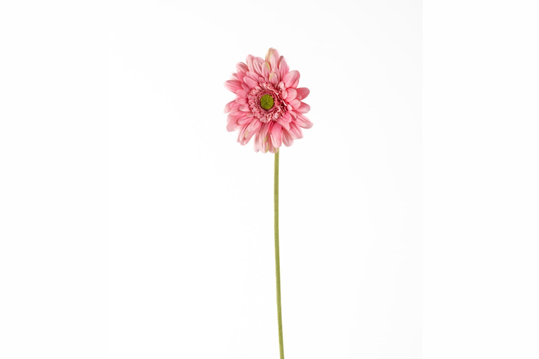 21" Pink Gerbera Daisy