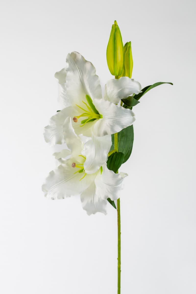 36.5" White Casablanca Lily Spray