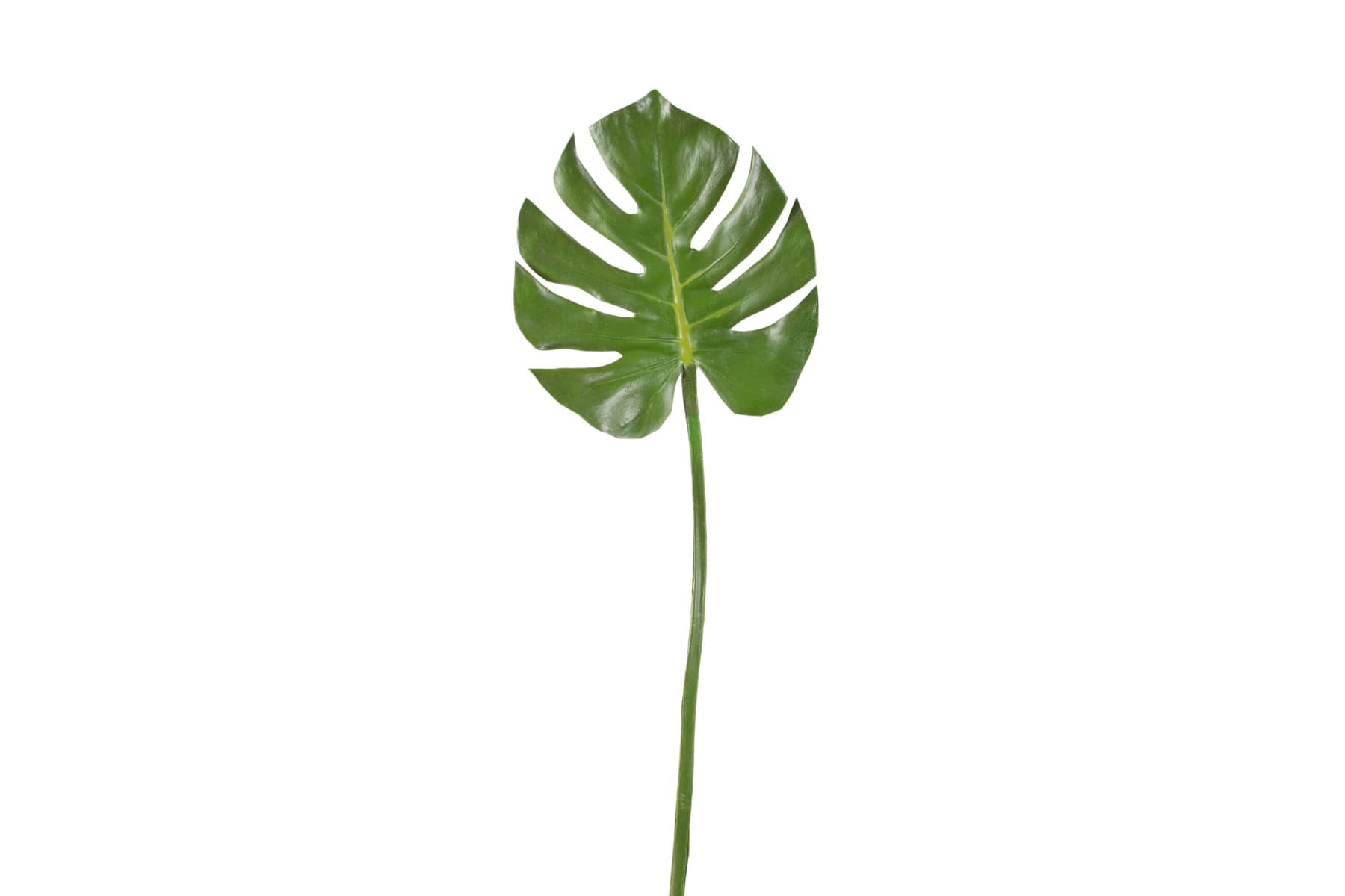 29" Monstera Leaf Spray Green