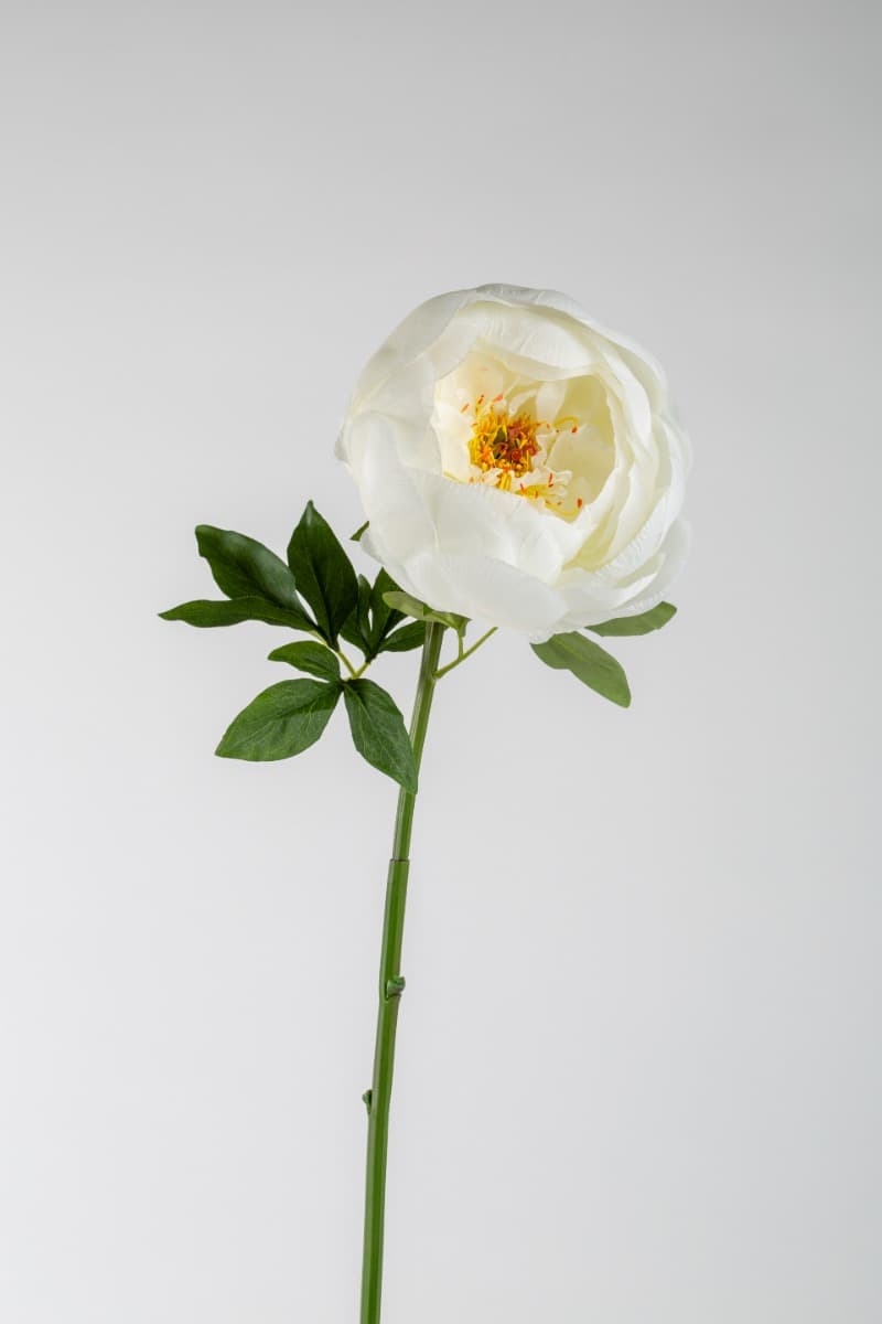 27" Peony Spray White