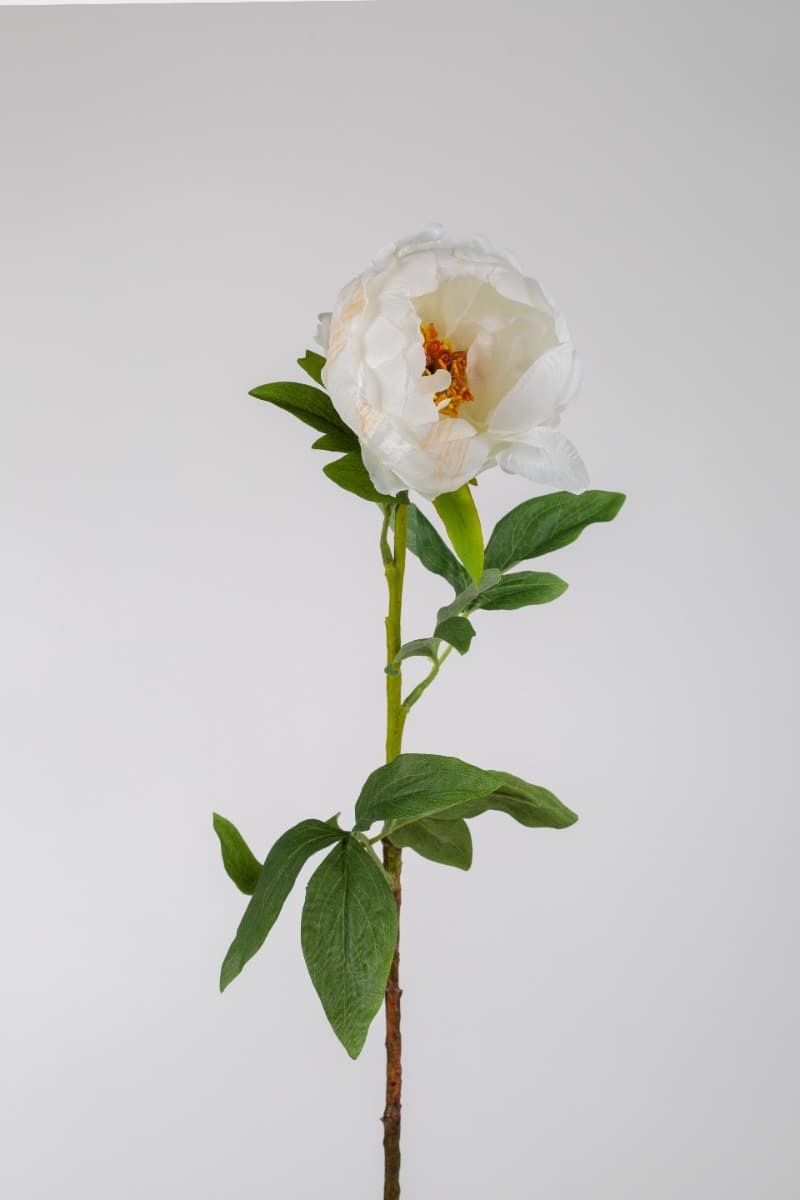 22" White Peony Spray