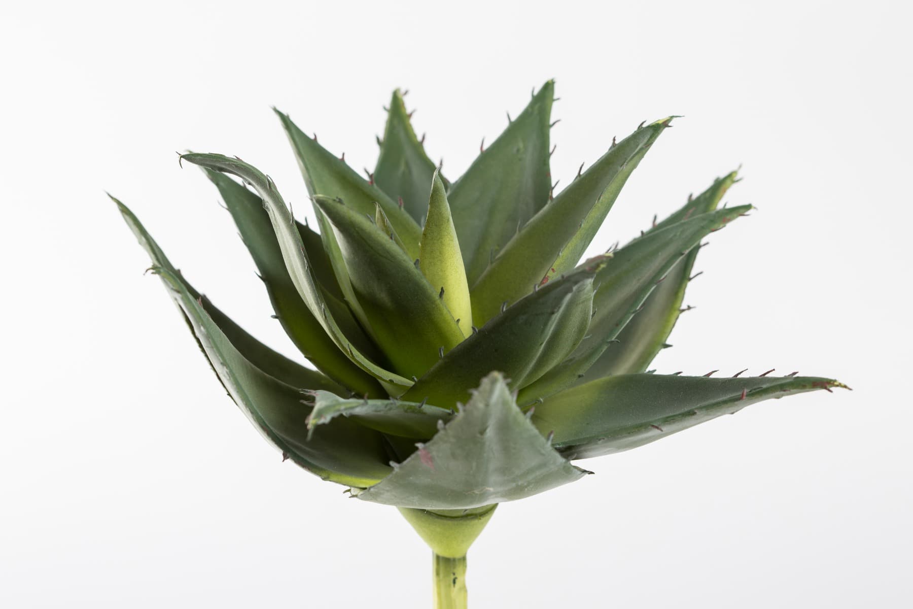 8.5" Green Agave Plant Pick