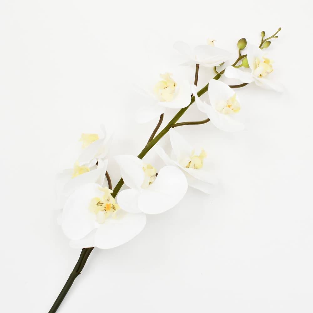 39 Inch Real Touch Phalaenopsis - Cream
