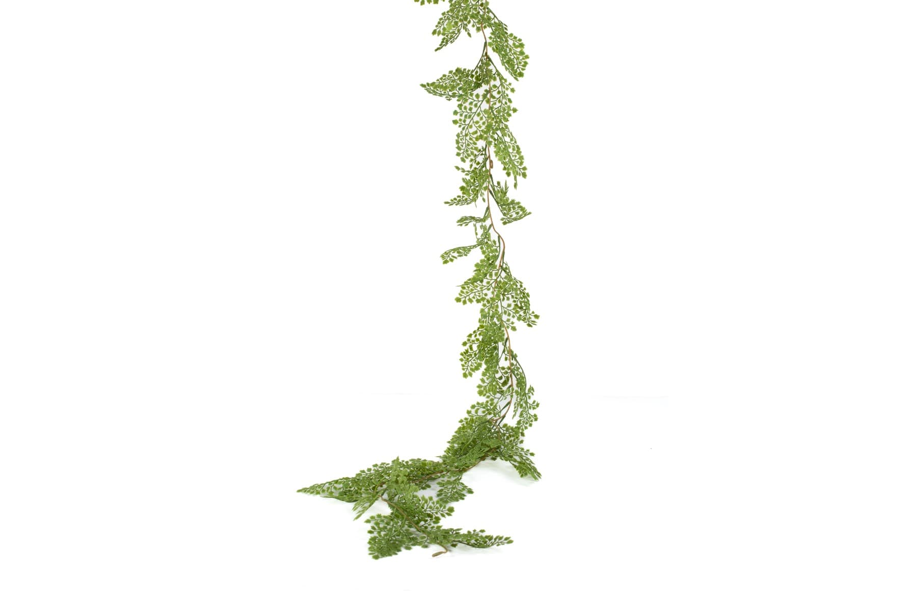 6' Maidenhair Fern Garland