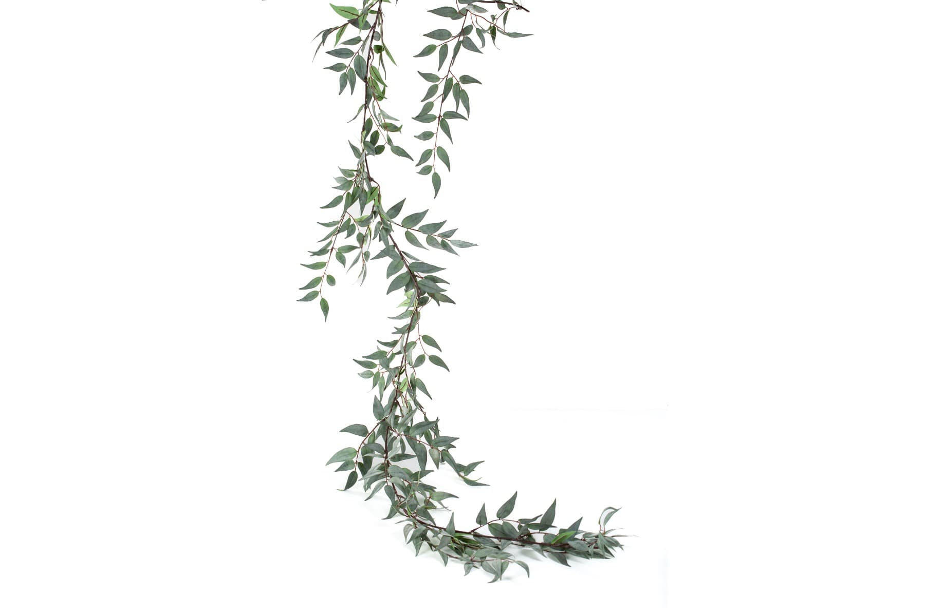 6' Italian Ruscus Leaf Garland