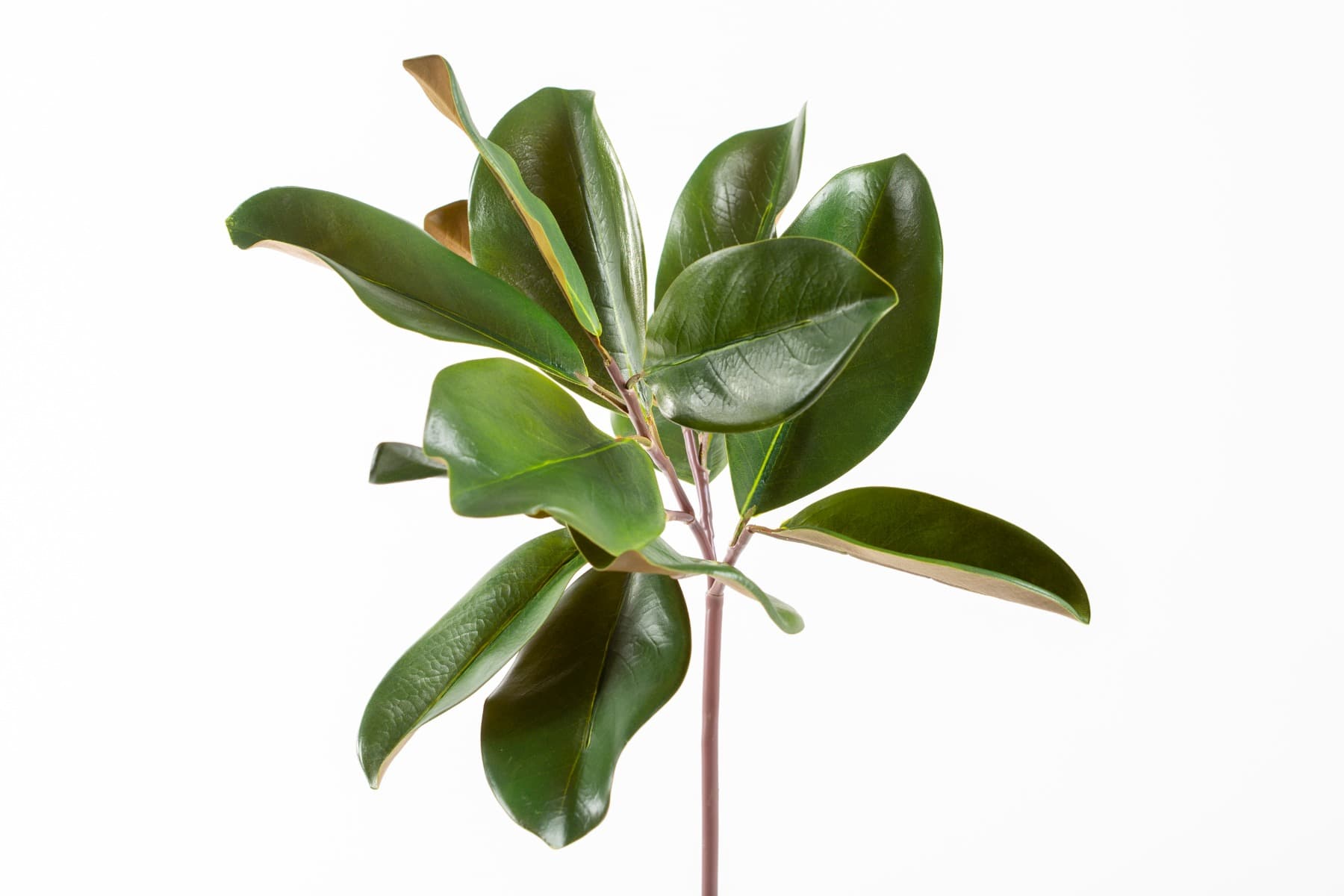 16" Magnolia Leaf Pick