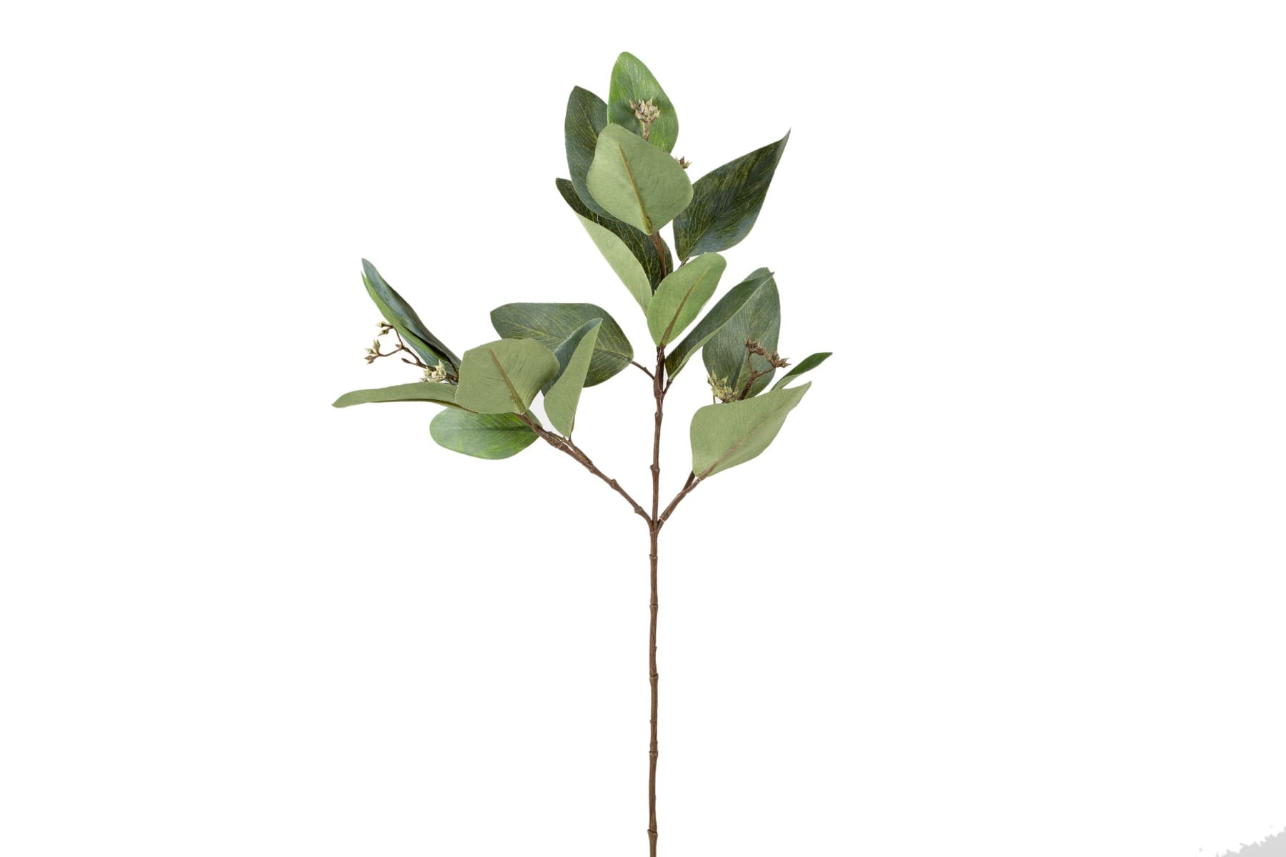24.5" Green Gray Eucalyptus Leaf Spray