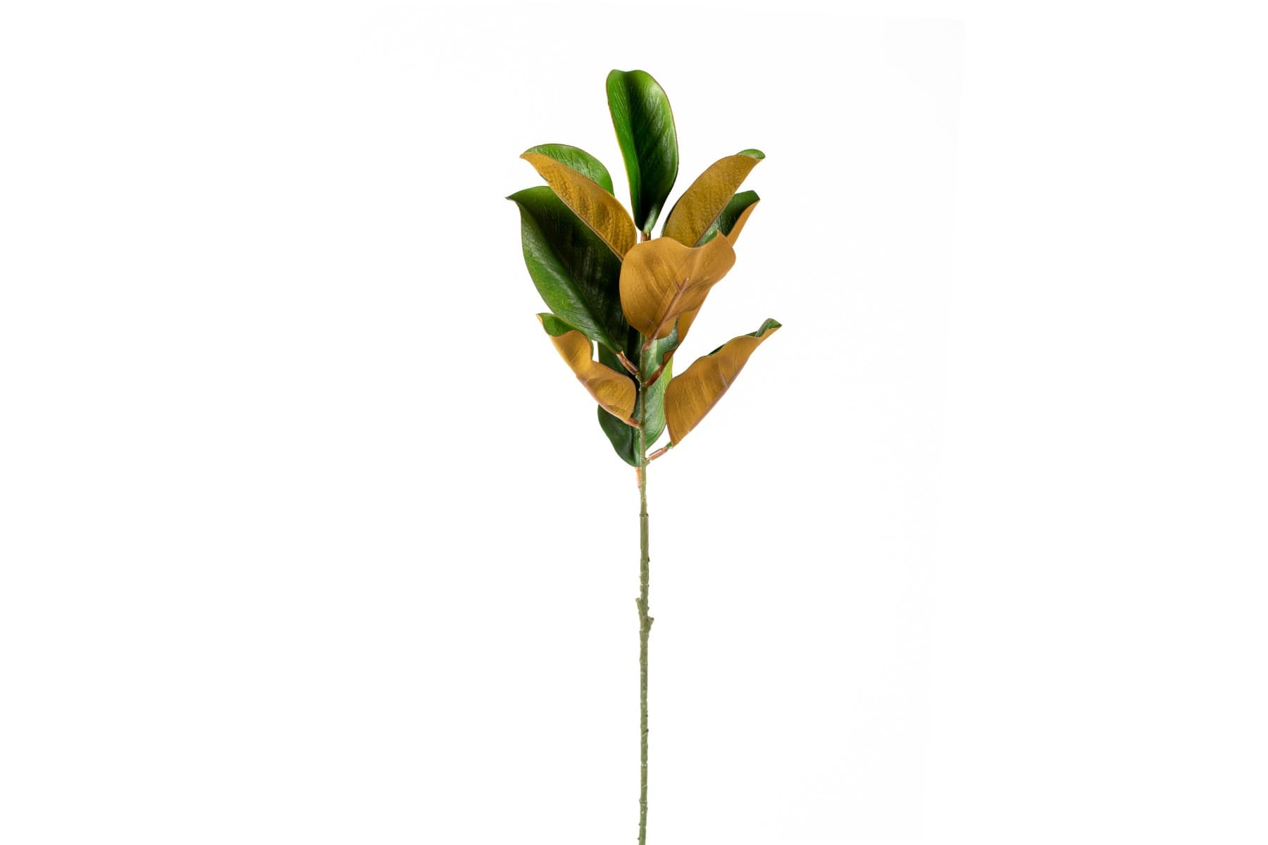 28" Magnolia Leaf Spray