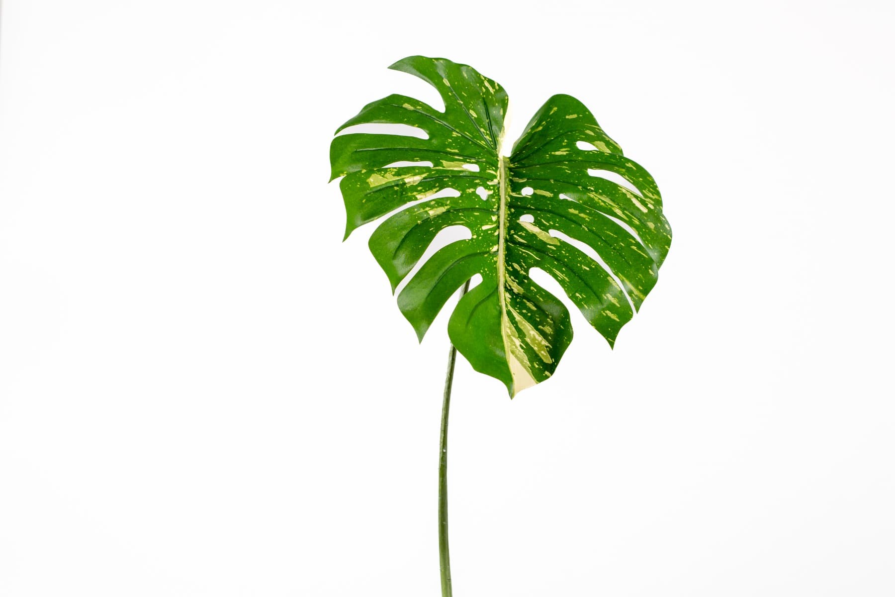 23.5" Philodendron Spray