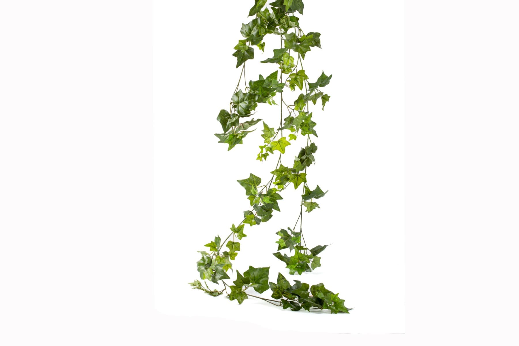 6' Ivy Hanging Pick Vine