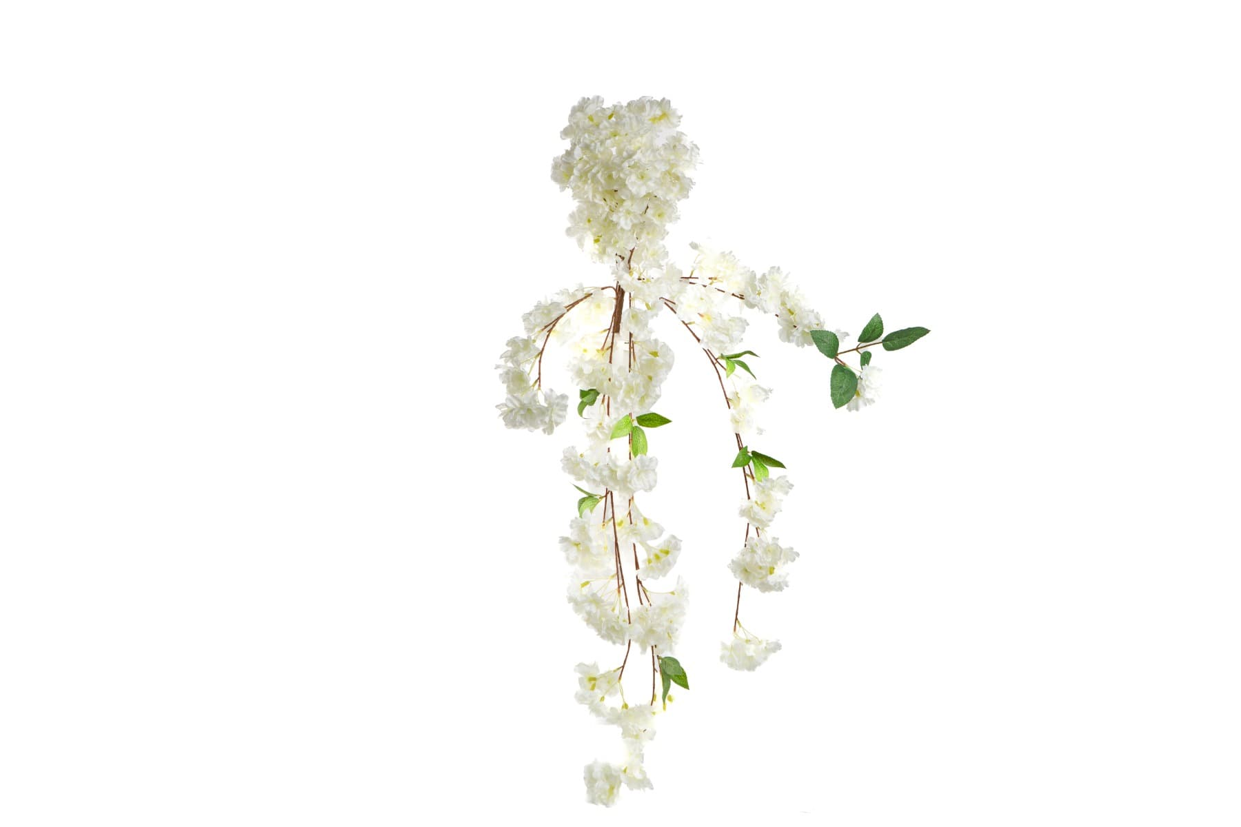 Peach blossom hanging bush Cream