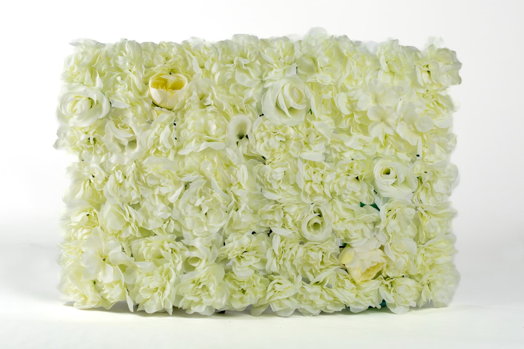 24" x 16" Cream Rose Peony Matt Wall Panel Backdrop