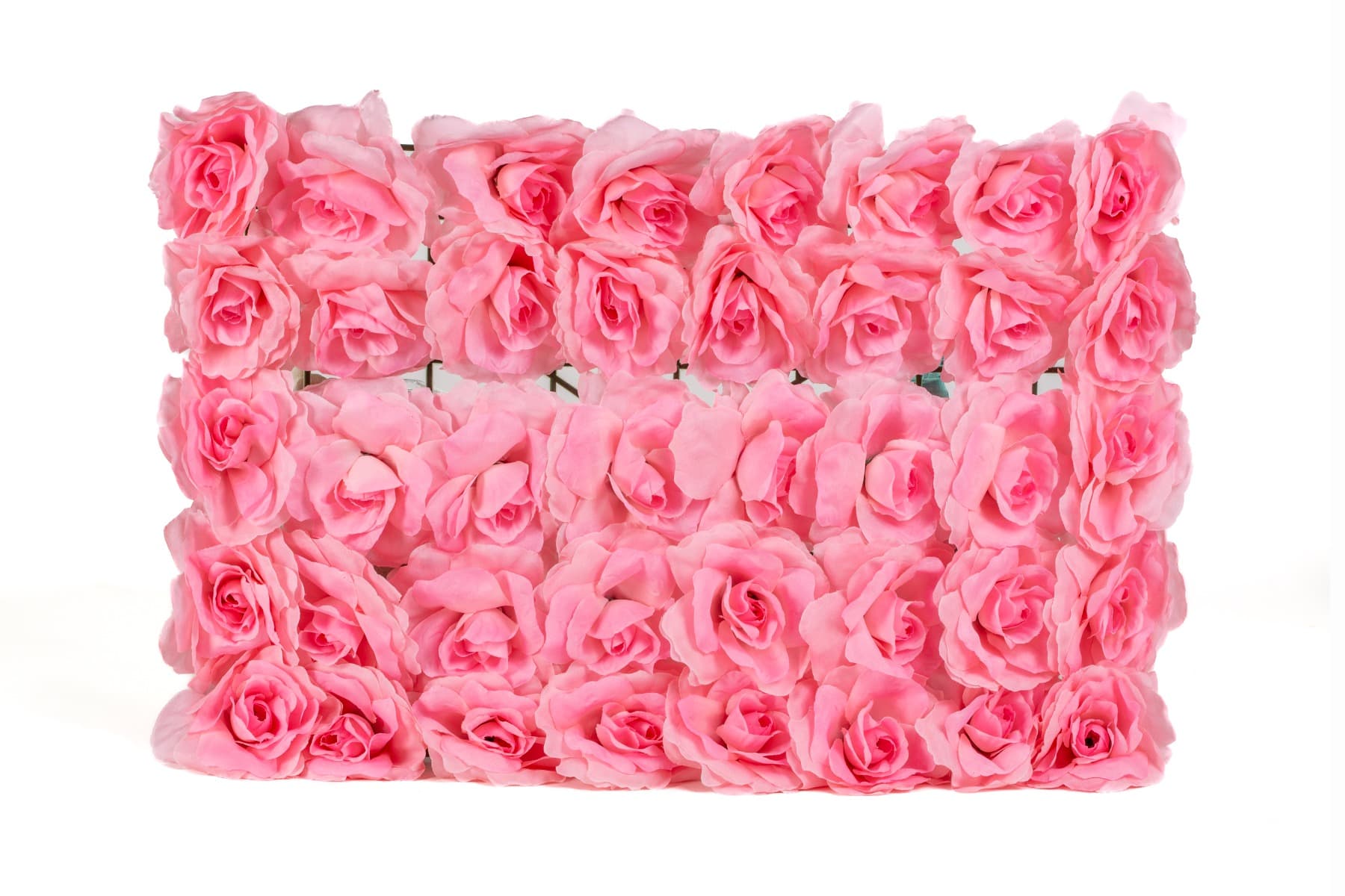 24" x 16" Hot Pink Rose Wall Panel Backdrop