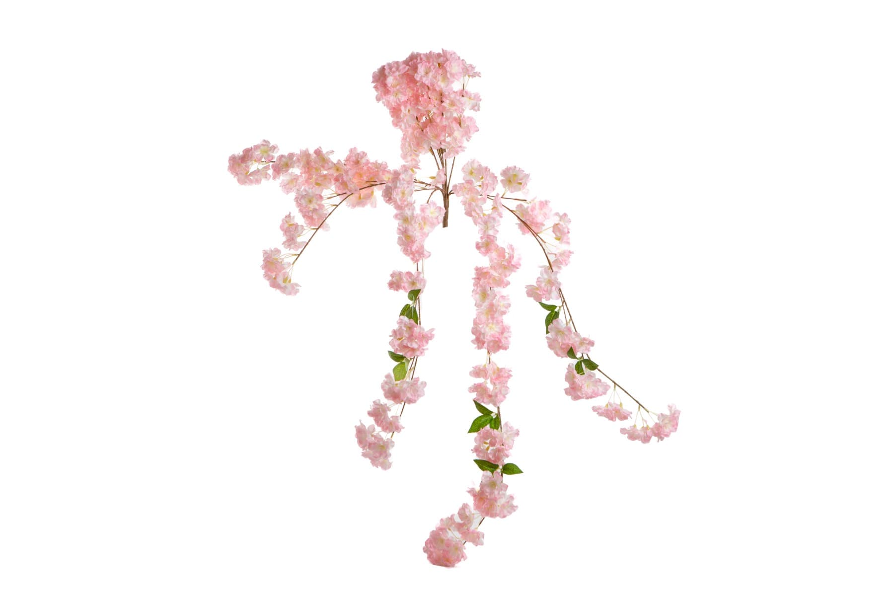 Pink 'Peach Blossom' Hanging Bush