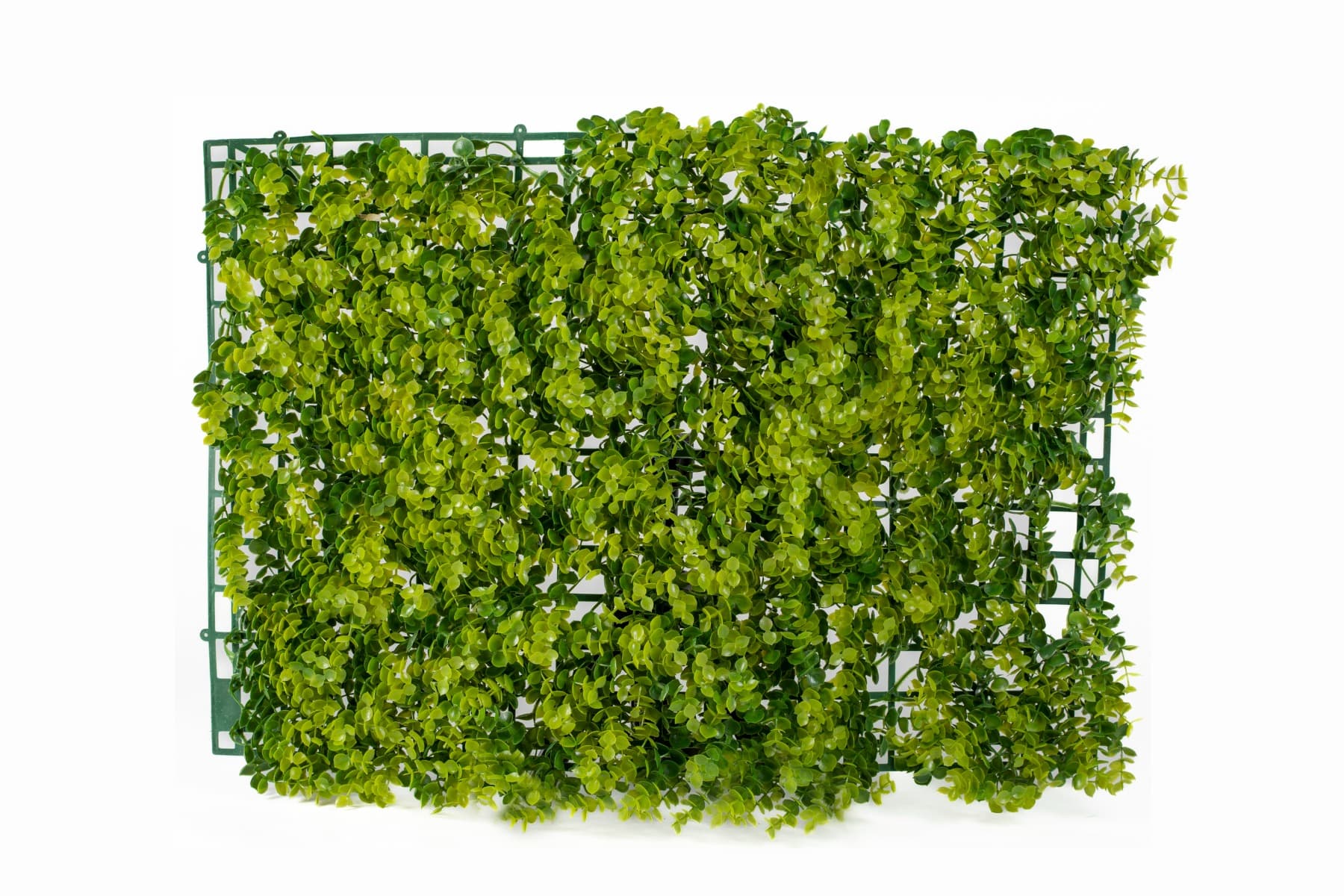 24" x 16" Baby Eucalyptus Wall Panel Backdrop