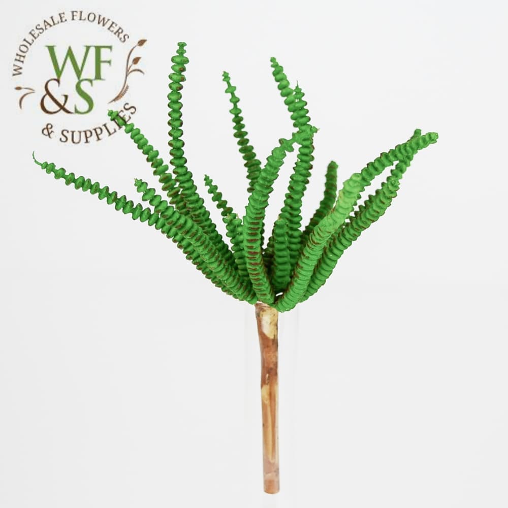 7.4" worm succulent pick green asf - View 1