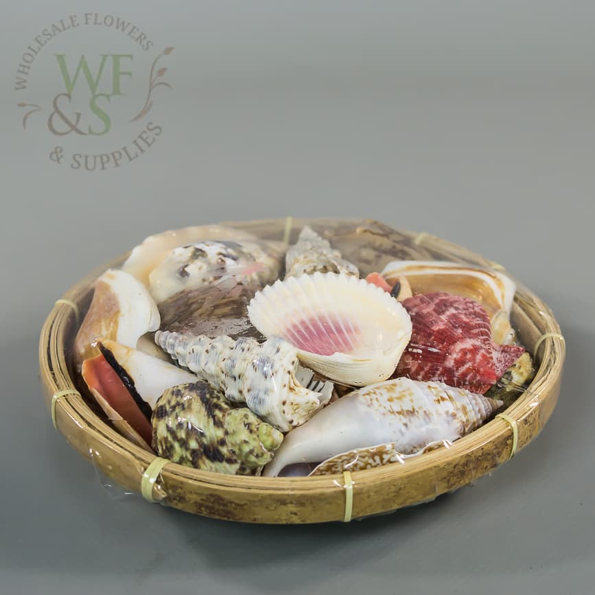 6" Small Sea Shell Basket - View 1