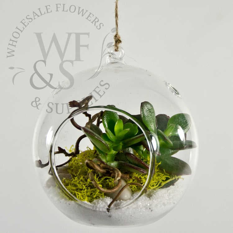 3 ¾" Hanging Glass Terrarium Globe