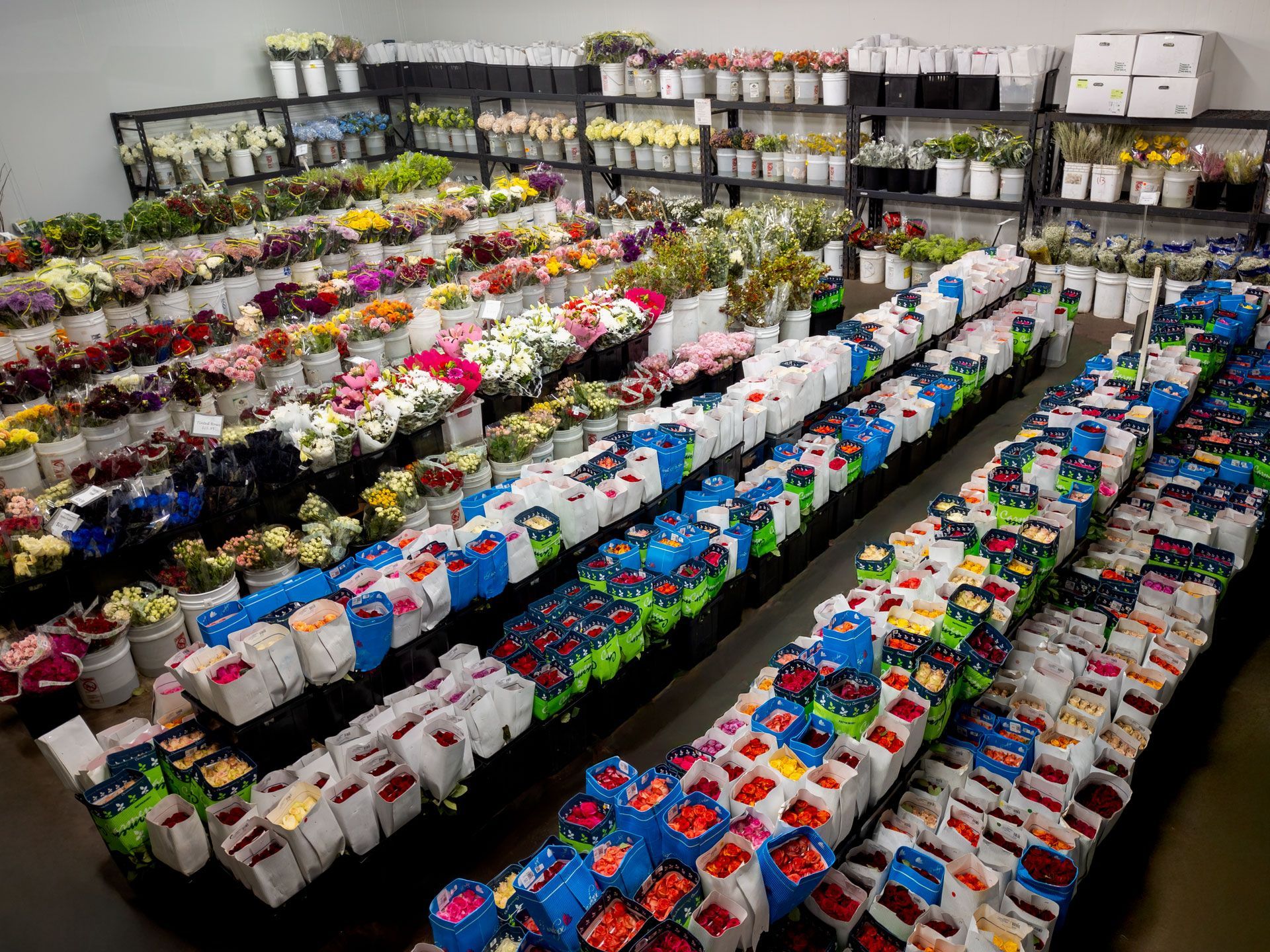 Rows of colorful flowers and bouquets in a flower shop