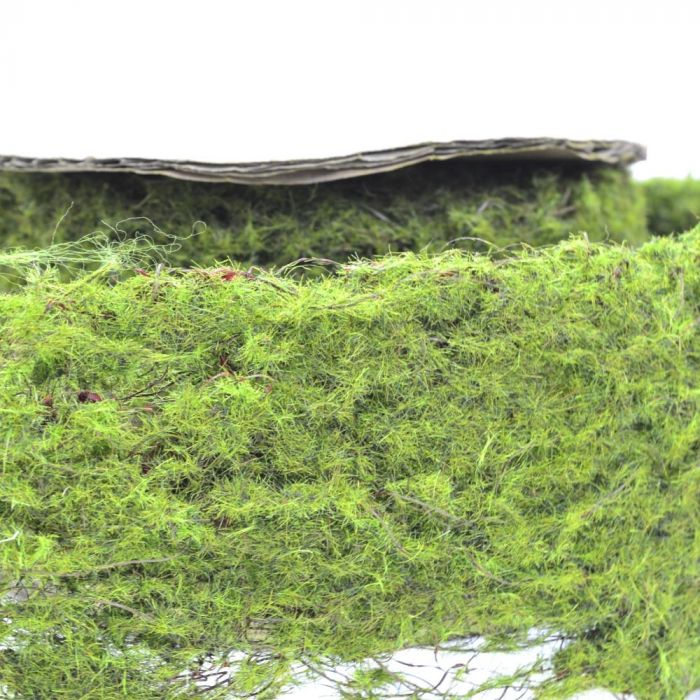 Artificial Moss Sheet, 18'' x 10'', Green, Craft Supplies from Factory Direct Craft