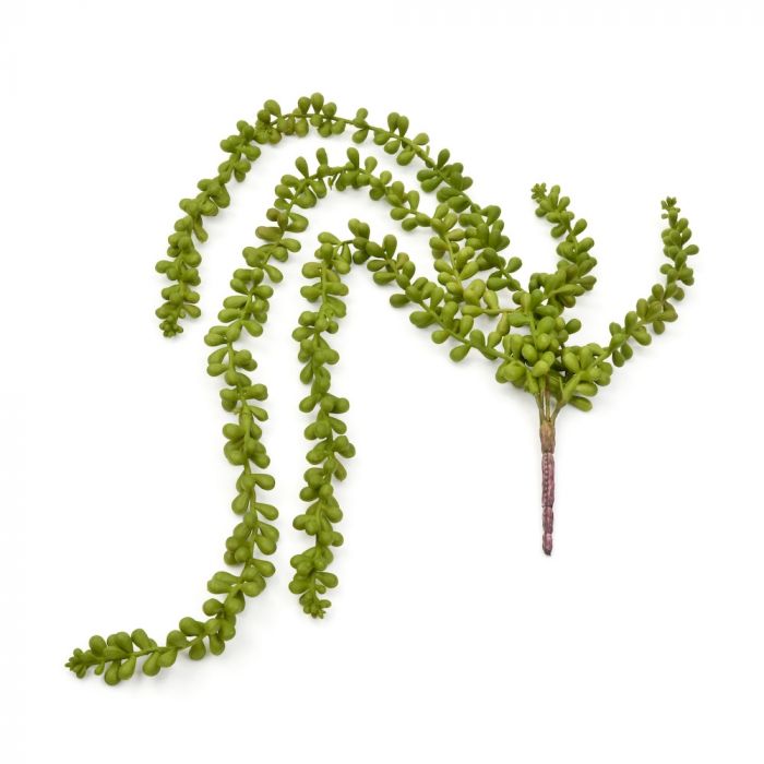 Faux String of Pearls Pick- Succulent