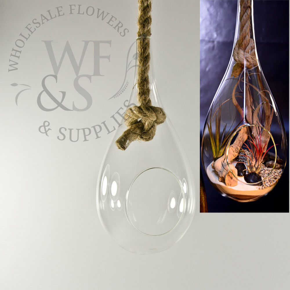 17" Hanging Water Drop Terrarium With Rope