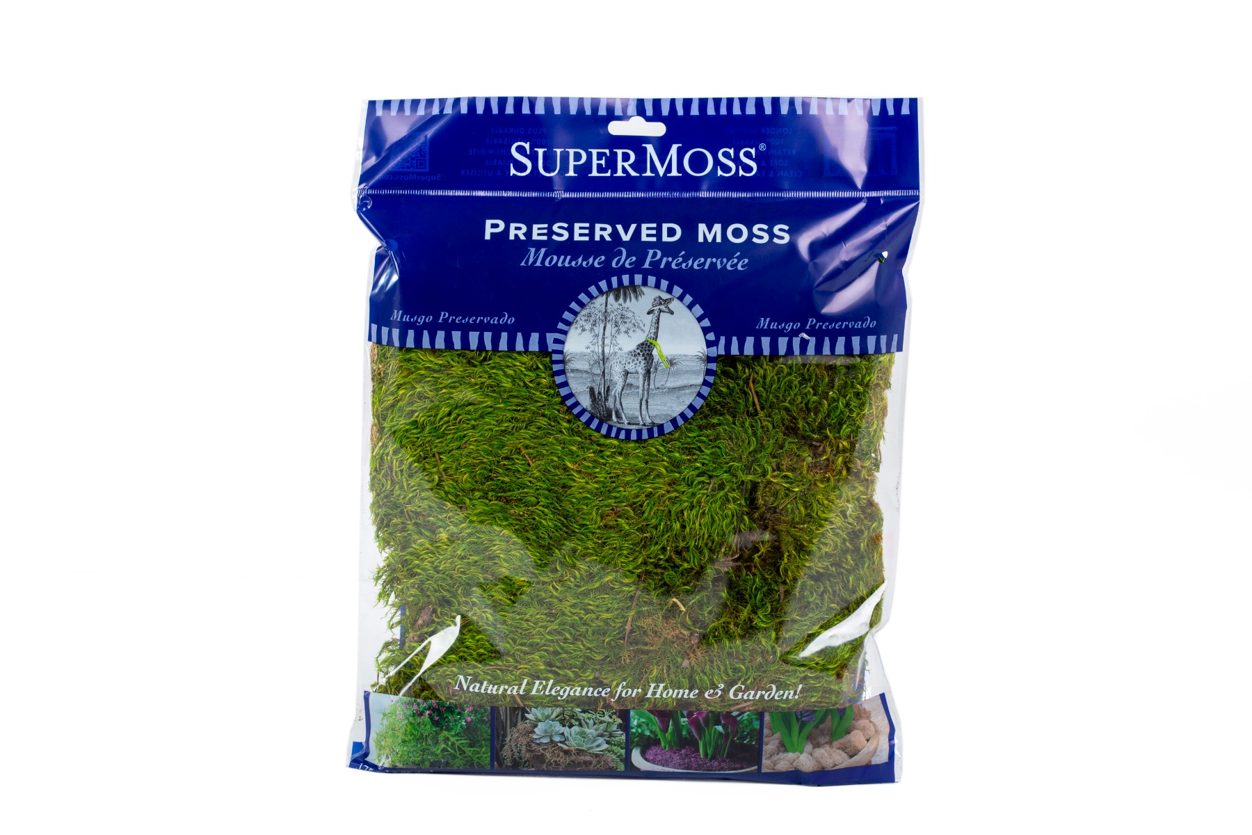 Preserved Mood Moss