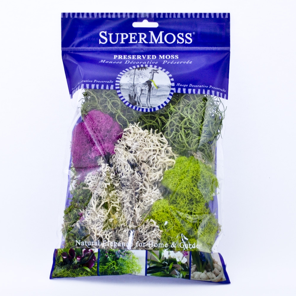 Preserved Moss Assorted mix