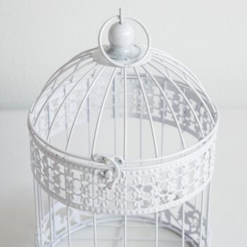 13" Hanging Birdcage - White top